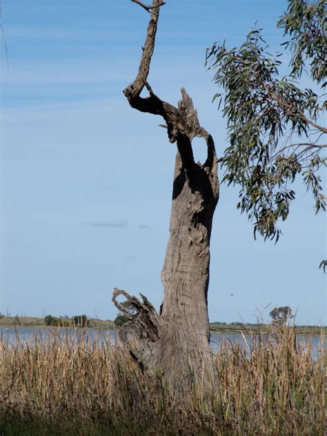 Klassens Down Under April 26 Swan Hill Vicinity