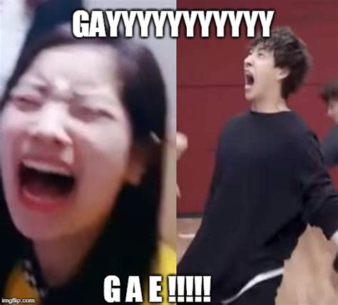 Image Tagged In Kpopkpop Fans Be Likegaygae Imgflip