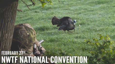 Turkey Hunting Highlights Nwtf National Convention Spring Thunder