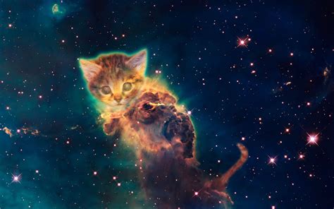 Cat Nebula Rspacepizzadelight