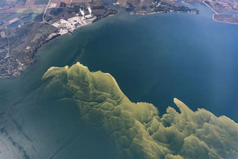 Online Tracker Eriestat Launched For Lake Erie Phosphorus Reduction
