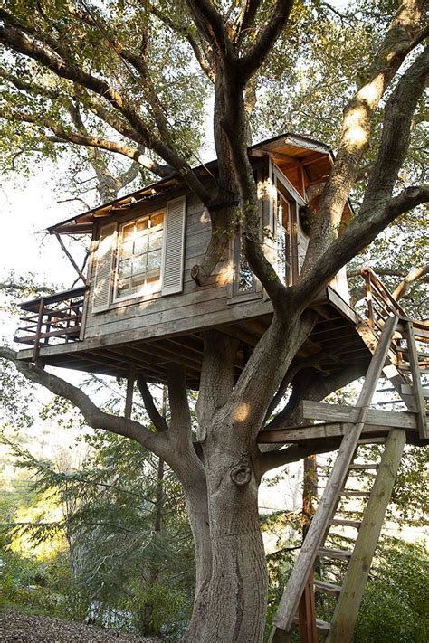 21 Unbeliavably Amazing Treehouse Ideas That Will Inspire You