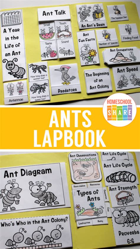 Ants Lapbook Homeschool Share Lapbook Ants Ant Life Cycle