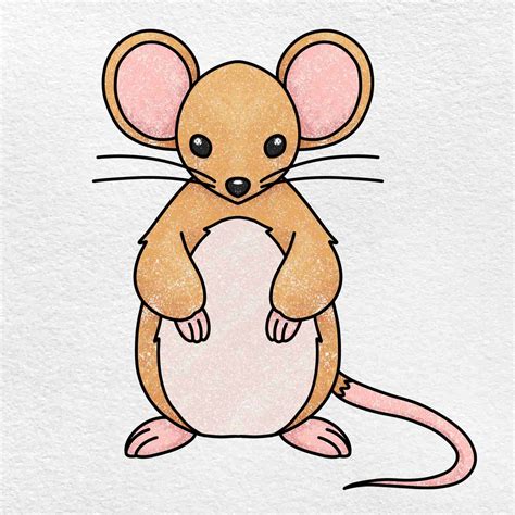 How To Draw A Cartoon Mouse Cute And Easy Easy Animal