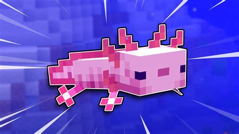 There are five different colors of axolotl: Everything You Need To Know About Axolotls In Minecraft 1 ...