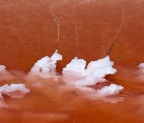 French Camargue Blood Red Lake Natural Phenomenon Wander Lord