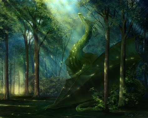 Forest Dragon Wallpapers Top Free Forest Dragon Backgrounds