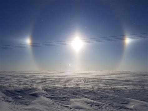 Prairie Sundog Rcanada