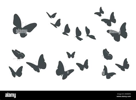Flying Butterfly Silhouettes Butterflies Silhouette Set V02 Stock