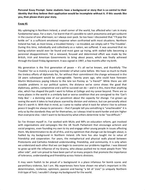 College Application Essay Examples Pdf Bestletters Co