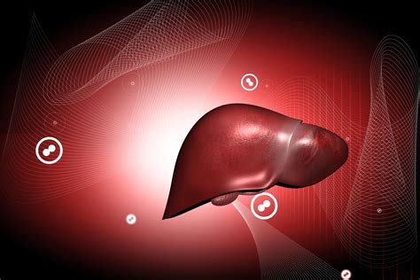 Is Your Liver Toxic Clamor World