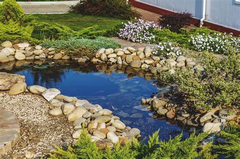 Backyard Pond Ideas To Inspire Your Garden Transformation In Ponds Backyard Small