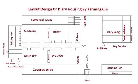 Dairy Housing Useful Information And Design Farmingx Dairy Barn Designs Cow Shed Design