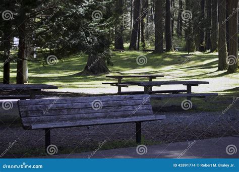 Forest Campgrounds Stock Photo Image Of Travel Joint 42891774