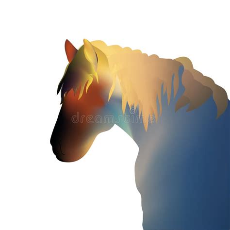 Silhouette Beautiful Arabian Horse Black And White Stock Illustration