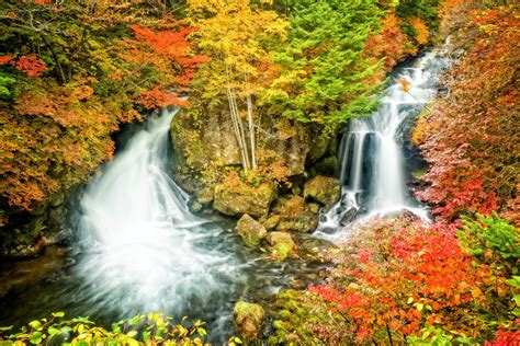 Autumn Waterfall 4k Ultra Hd Wallpaper Background Image 4200x2800