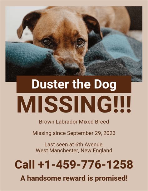Lost Pet Flyer Template
