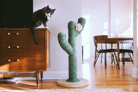 If you do not know how to choose the right size for your cute kitty, pls tell us. make a super cute cactus scratching post! • Best Friends ...
