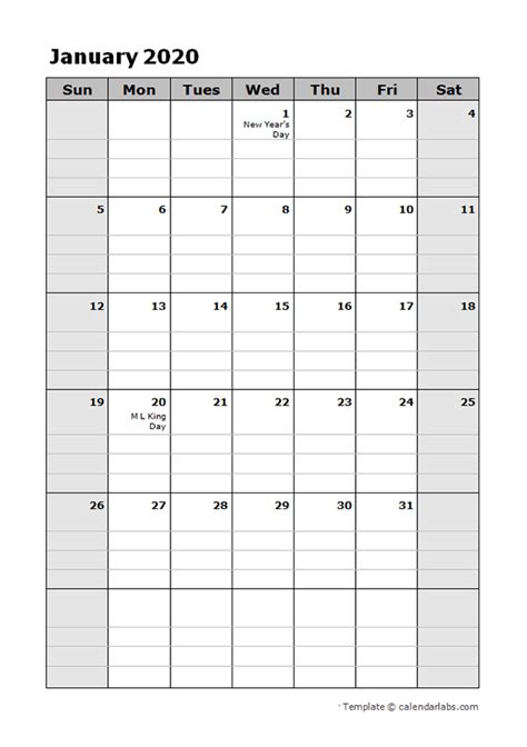 2020 Daily Planner Calendar Template Free Printable Templates