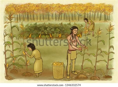 1件の「native Americans Picking Corn Squash」の画像、写真素材、ベクター画像 Shutterstock