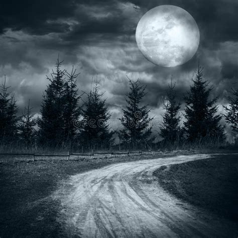 Mysterious Forest Under Dramatic Cloudy Sky At Full Moon