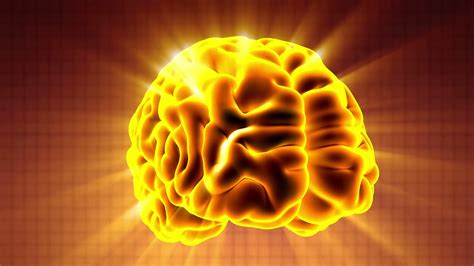 Science Anatomy Scan Of Human Brain Glowing Stock Footage Sbv 314546166