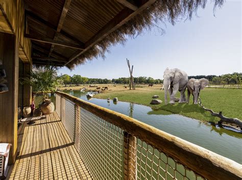 First Look At Luxury Lodges At West Midland Safari Park As Part Of New