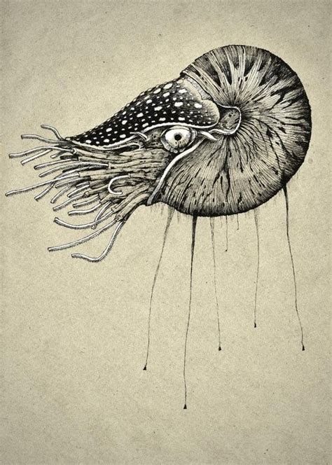 Nautilus An Art Print By Aleks Klepnev In 2022 Nautilus Tattoo