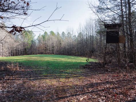 130 Acres Holmes County Ms Backwoods Land Company