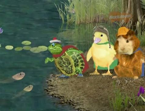 Чудо Зверята Wonder Pets 13 серия смотреть онлайн сериал