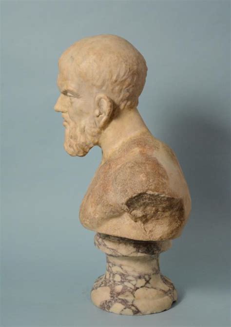 Roman Marble Bust Of A Philosopher
