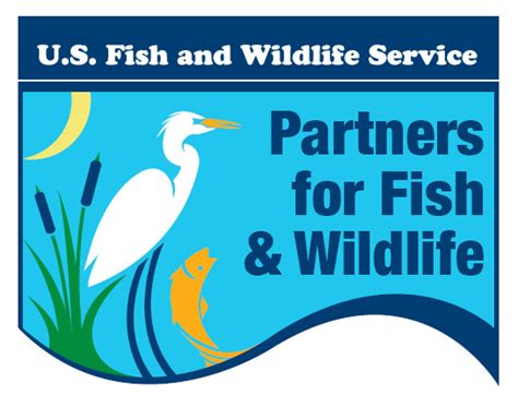 New Jersey Field Office Us Fish And Wildlife Service