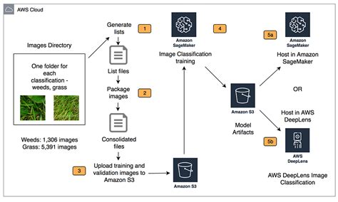 Building A Lawn Monitor And Weed Detection Solution With Aws Machine