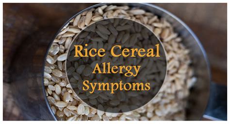 Rice Cereal Allergy Symptoms Allergy