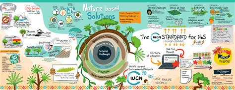 Farmer Organisations And The Global Standard For Nature Based Solutions