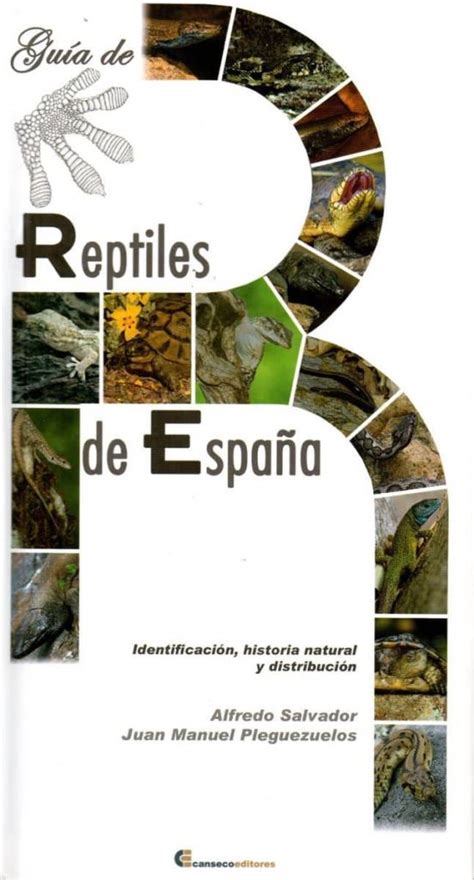 Guia De Reptiles De EspaÑa Identificacion Historia Natural Y