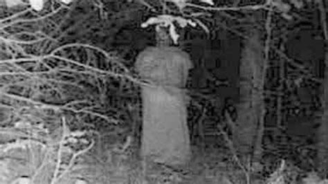 The Mystery Of The Paranormal Trail Camera Photograph