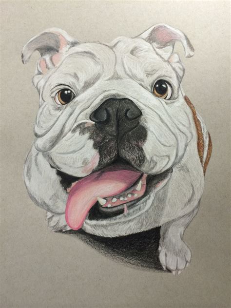 A Bulldog Portrait I Drew Of Princess Buttercup If U Like My Drawing