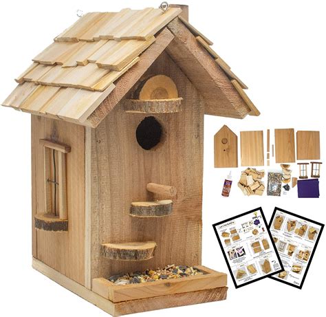 Bird House Kits 8 Best Options On The Market 2022
