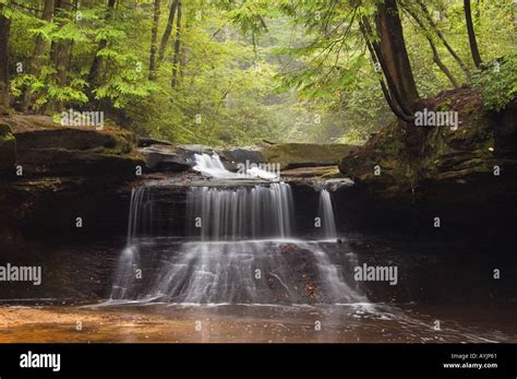 Creation Falls Clifty Wilderness Red River Gorge Geological Area Daniel Boone National Forest