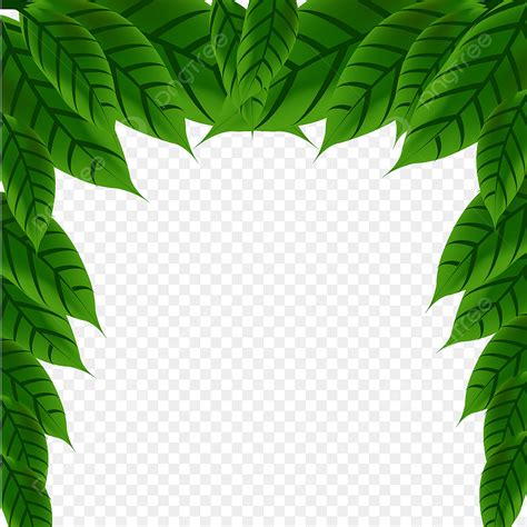 tropical leaves frame vector design images tropical leaves frame for mango tropical leave