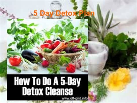 Your 5 Day Detox Plan