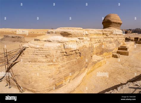 Back Of Sphinx Egypt Hi Res Stock Photography And Images Alamy