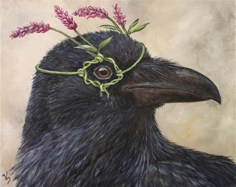 Pin On Corvidae Ravens Rooks Crows Magpies Jackdaws Jays