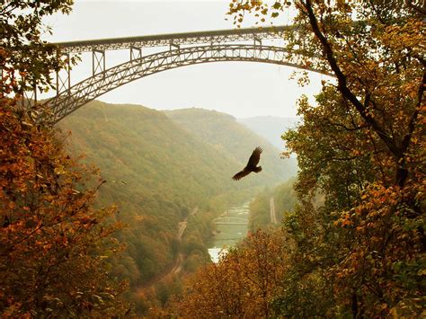 New River Gorge Bridge Photograph By Mary Almond Pixels