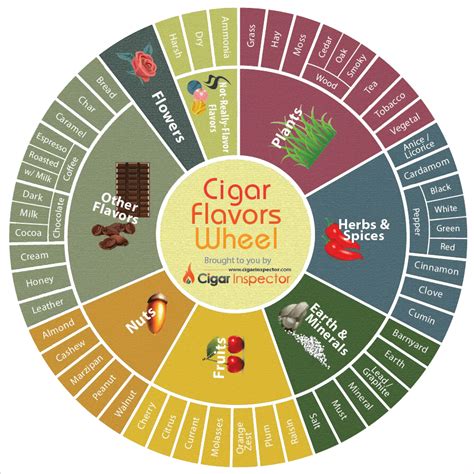 Cigar 101 How To Taste A Cigar And Flavor Wheels Infographics Best