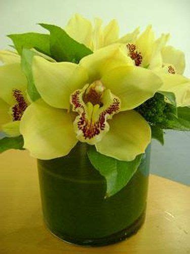 This Is An Arrangement Featuring Yellow Cymbidium Orchids See Our Entire Selection At