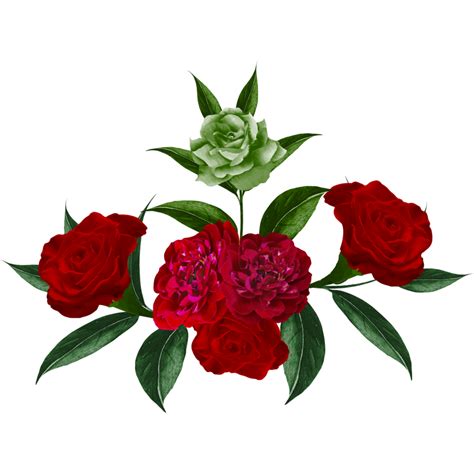 Watercolor Rose Flower 35575345 Png