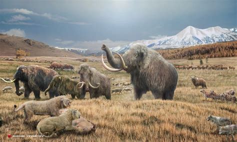 The Mammoth Steppe Of Eurasia Naturewasmetal