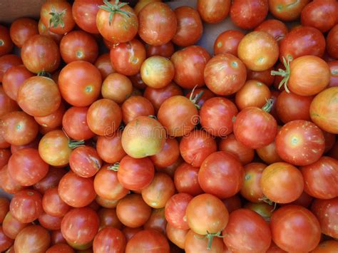 Tomatoes Of Red Orange And Green Color Stock Photo Image Of Market